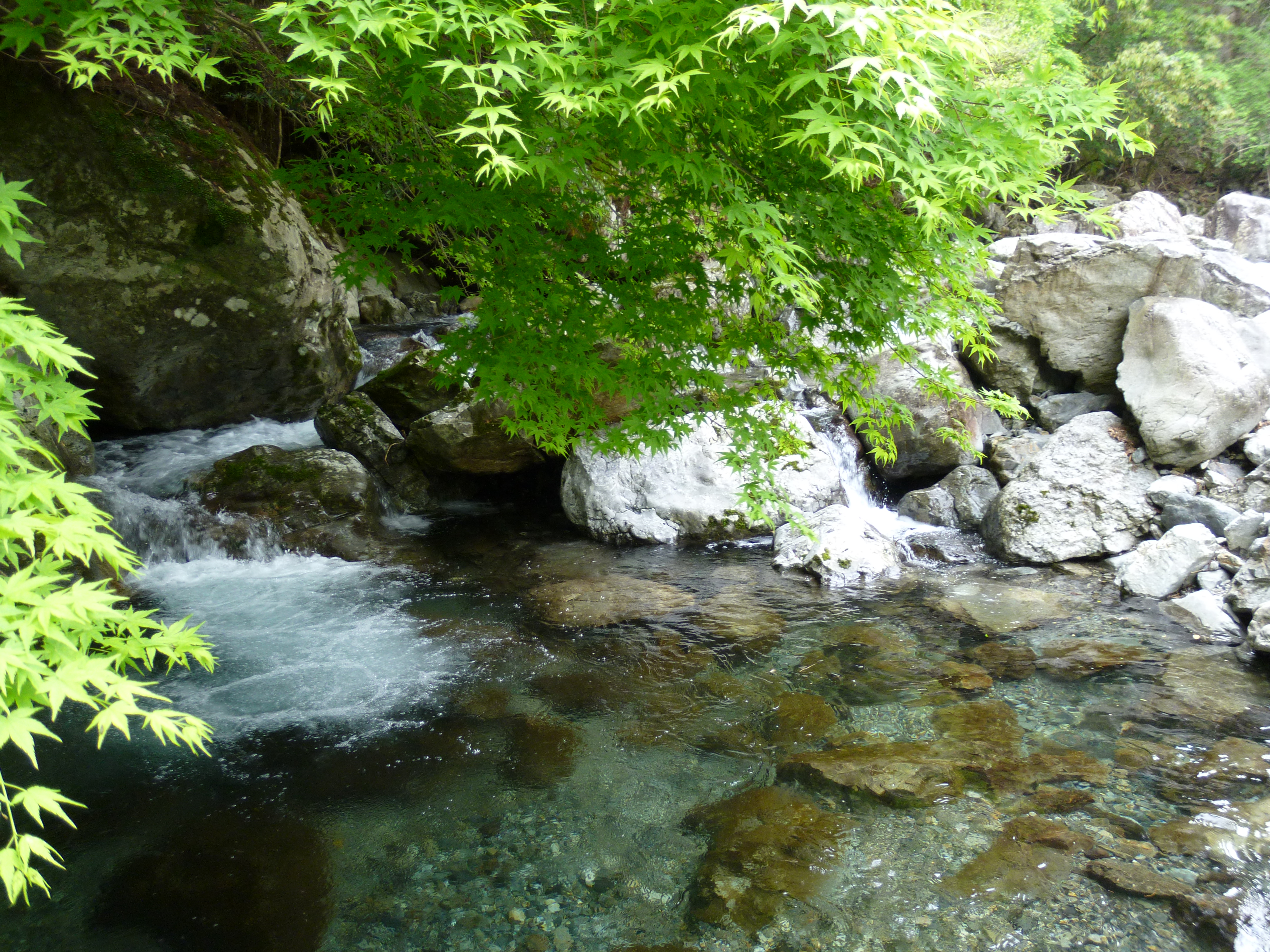 宮崎県高千穂の写真